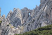 2014-08-02_06FritzPflaum-Steig (206).JPG